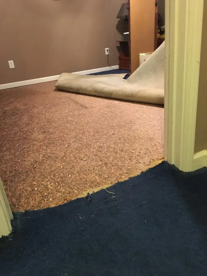 Carpet pad removal revealing water damage during Water Mitigation Services in North Madison