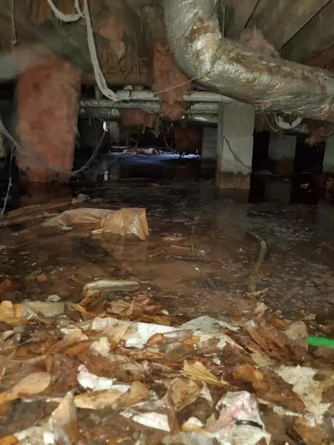 Crawl space flood assessment for Leak Detection & Repair in North Madison