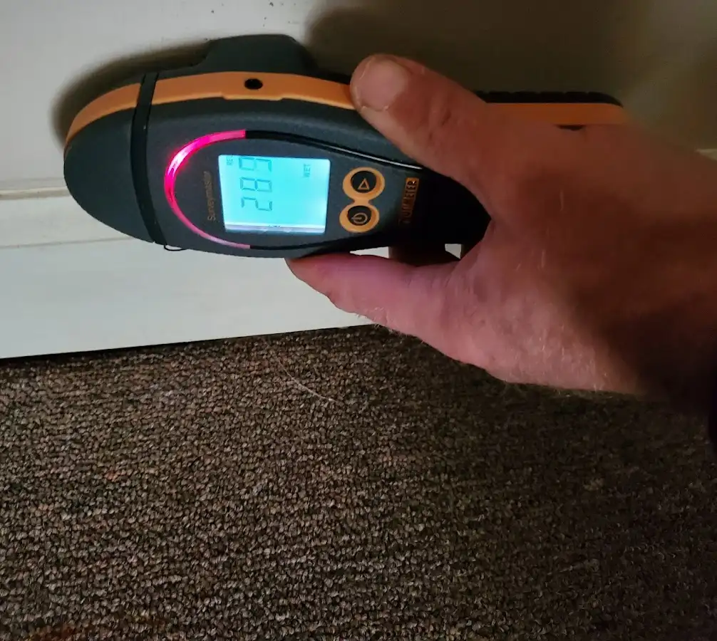 Moisture detection at baseboard during Mold Inspection & Testing in North Madison